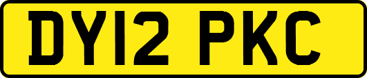 DY12PKC