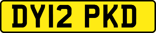 DY12PKD