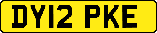 DY12PKE