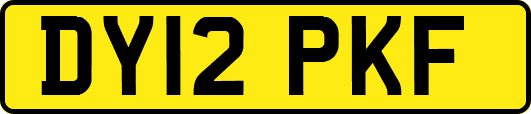 DY12PKF