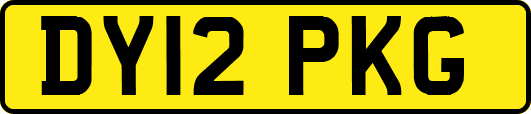 DY12PKG