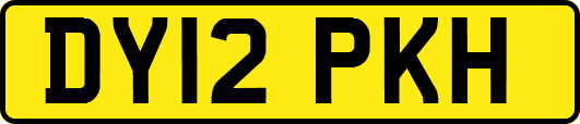 DY12PKH