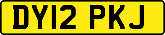 DY12PKJ
