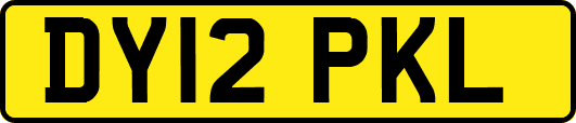 DY12PKL