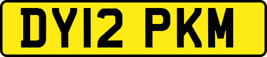 DY12PKM