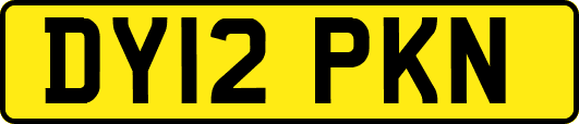 DY12PKN