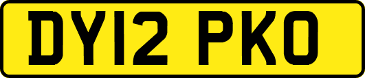 DY12PKO
