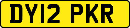 DY12PKR
