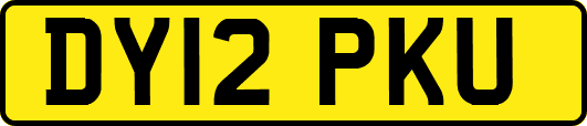 DY12PKU