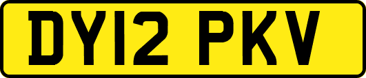 DY12PKV