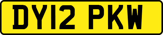 DY12PKW