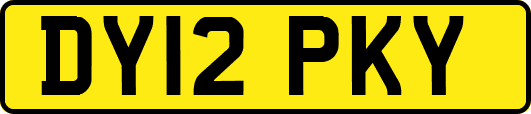 DY12PKY