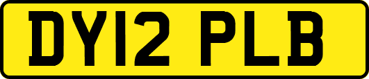 DY12PLB