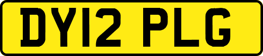 DY12PLG