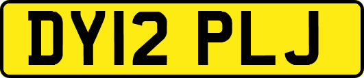 DY12PLJ