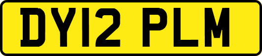 DY12PLM