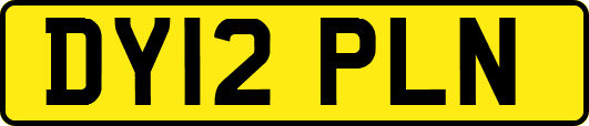 DY12PLN