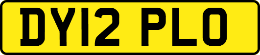 DY12PLO