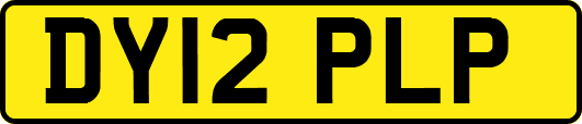 DY12PLP