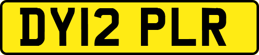 DY12PLR