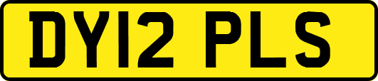 DY12PLS