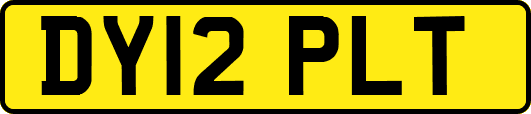 DY12PLT