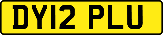 DY12PLU