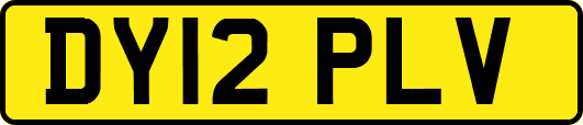 DY12PLV