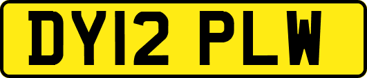 DY12PLW
