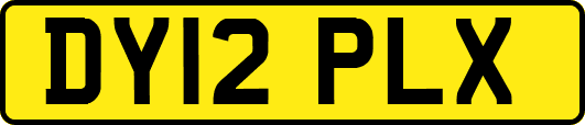 DY12PLX