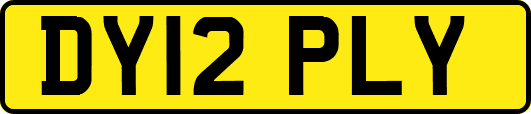 DY12PLY