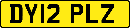 DY12PLZ