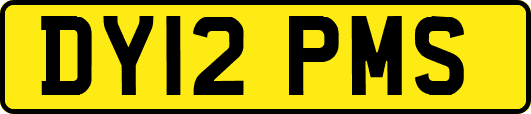 DY12PMS