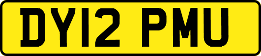 DY12PMU