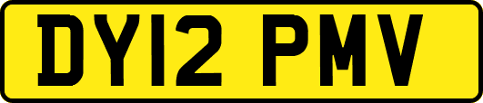 DY12PMV