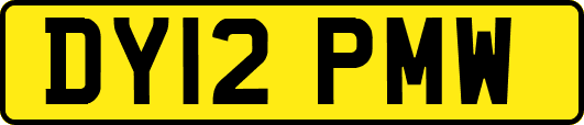 DY12PMW
