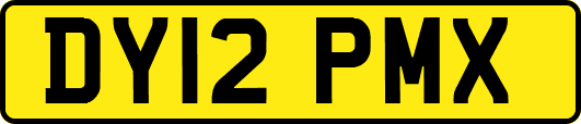 DY12PMX