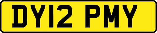 DY12PMY