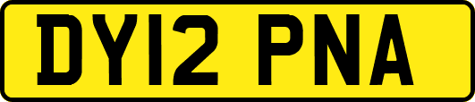 DY12PNA