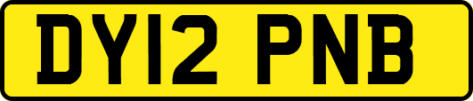 DY12PNB