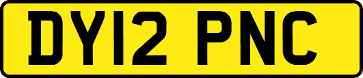 DY12PNC