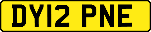 DY12PNE