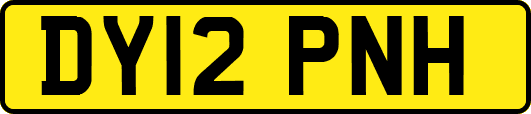 DY12PNH