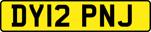 DY12PNJ