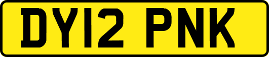 DY12PNK