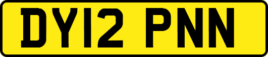 DY12PNN