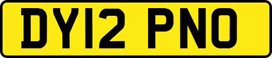 DY12PNO