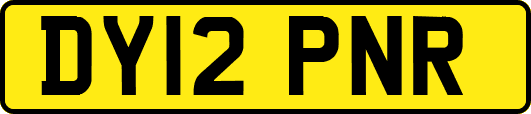 DY12PNR