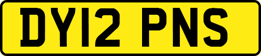 DY12PNS