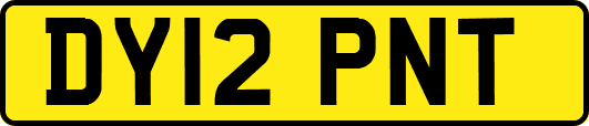 DY12PNT